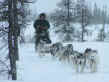 Dogsled 2005.JPG (244867 bytes)