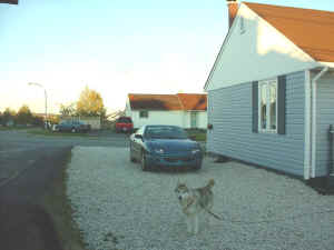 labcity-driveway_small.jpg (7345 bytes)