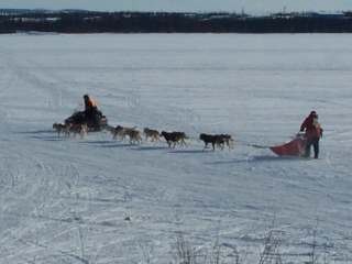 Dogsled on the Lake