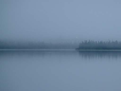 Fog on the Lake