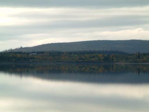 Fog on the Lake